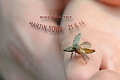 21 06 13_4027_edited-2